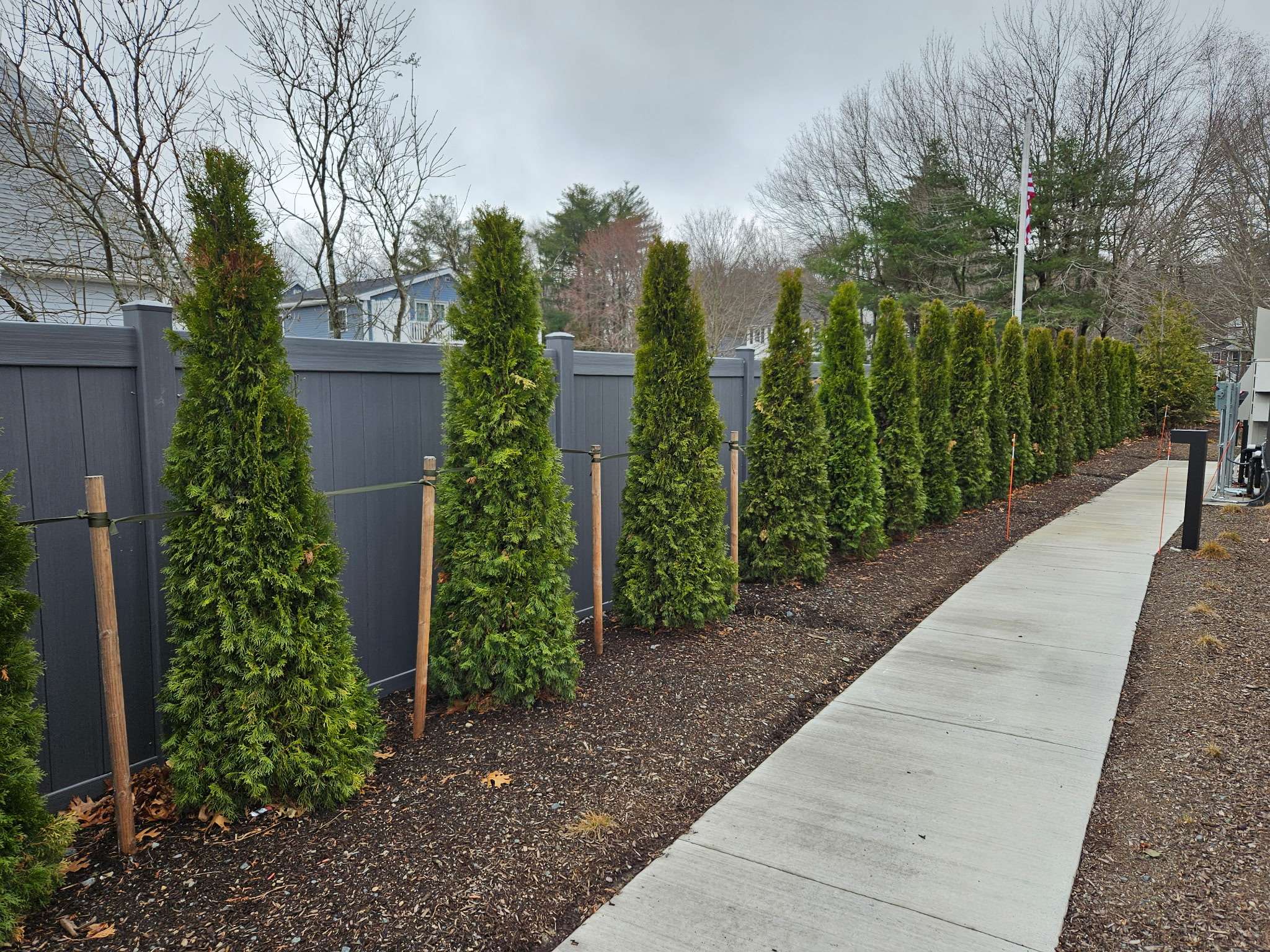 Olympic Fence Company vinyl privacy fence installation in the North Shore, featuring evergreen trees and a walkway.