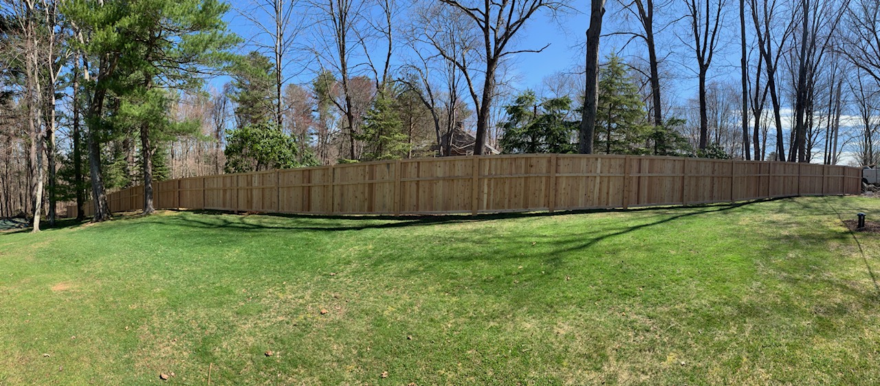 Cedar privacy fence installation in residential yard, showcasing quality craftsmanship and surrounding greenery.